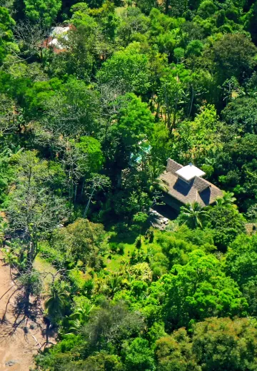 Copa de Arbol aerial property view