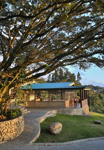 Reception area at Senda
