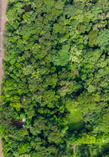 Rainforest and ocean access Private Villas