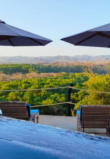 Swimming pool, forest and ocean view