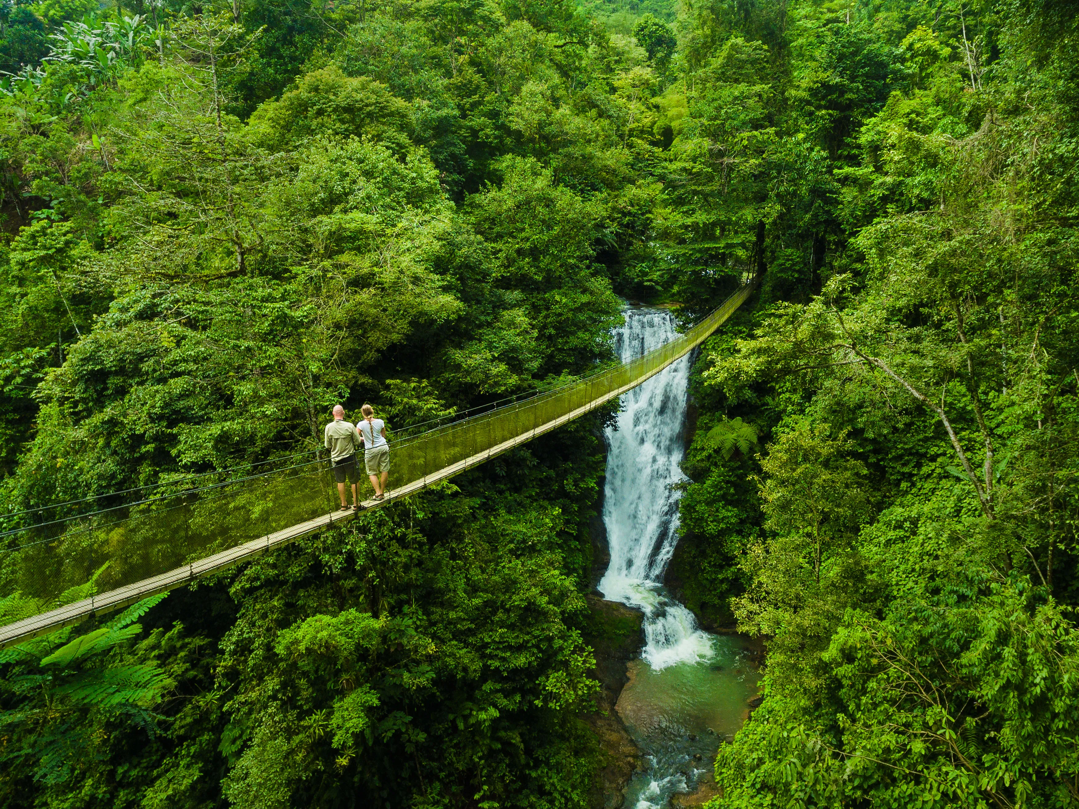 Hanging Bridges & Waterfalls