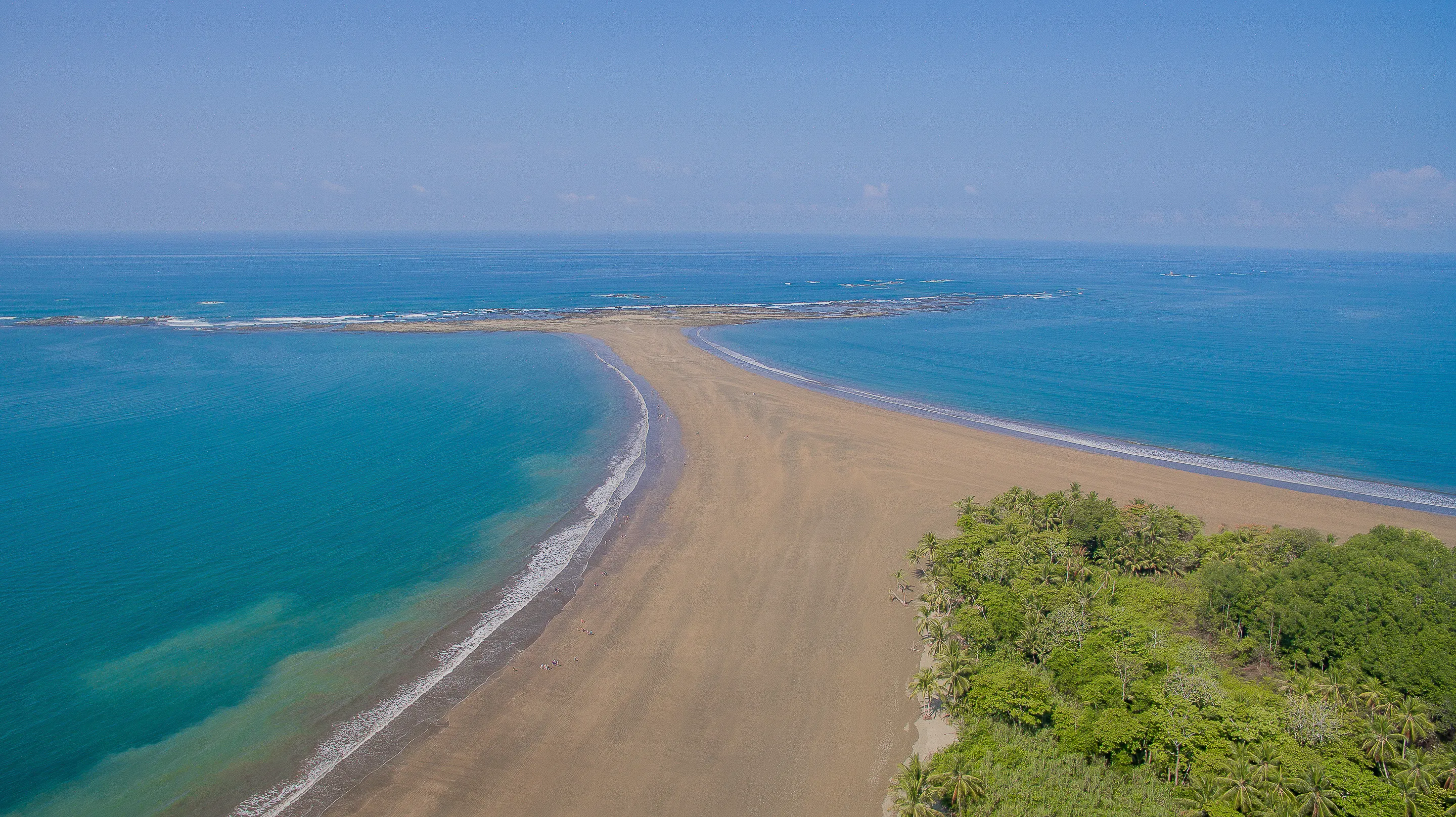 Whale Tail Beach