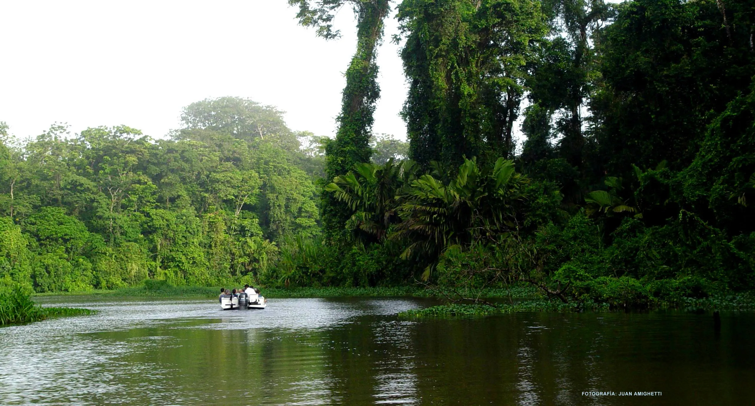 Rainforests of the Caribbean of Costa Rica