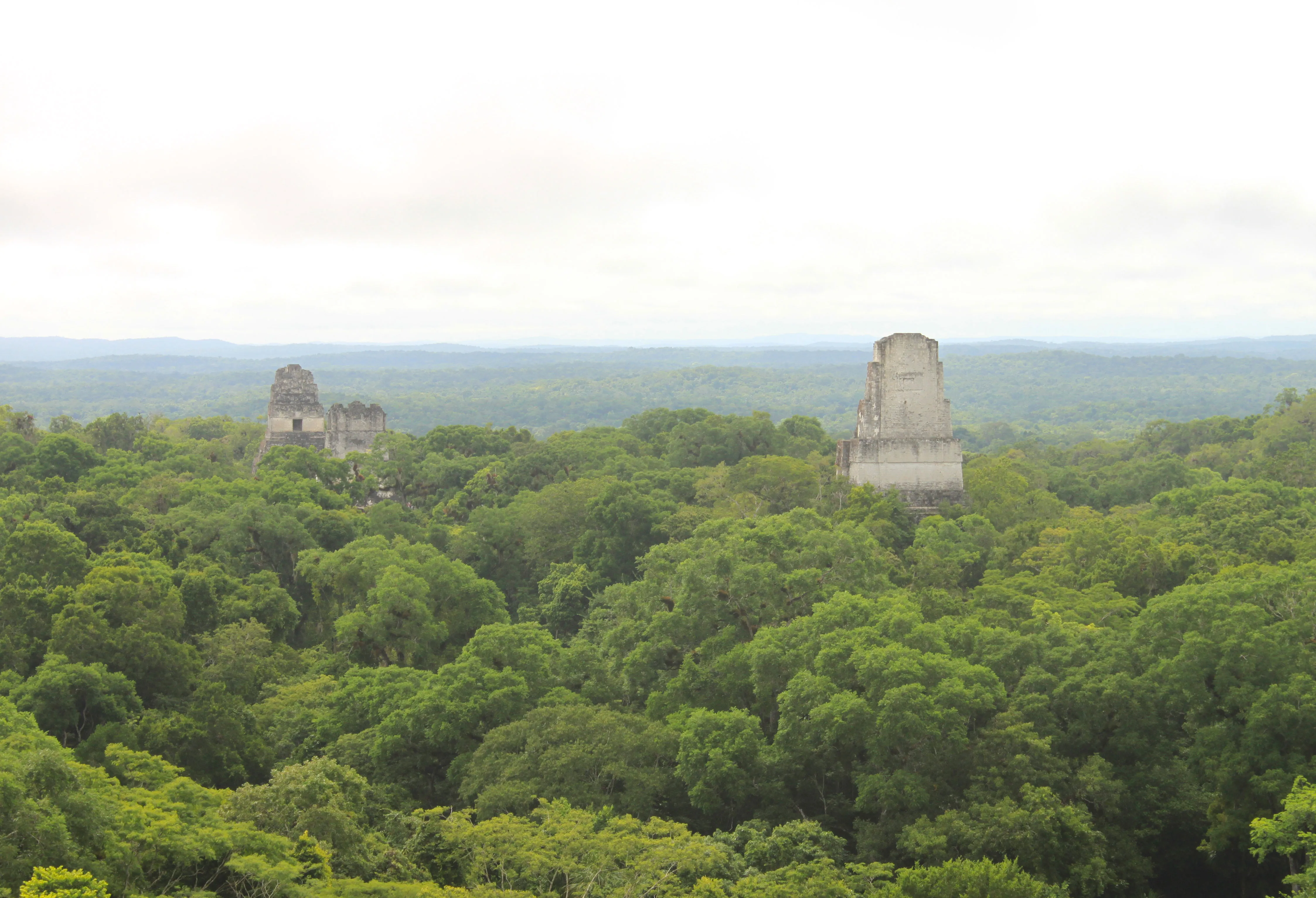 Tikal ancient city and National Park