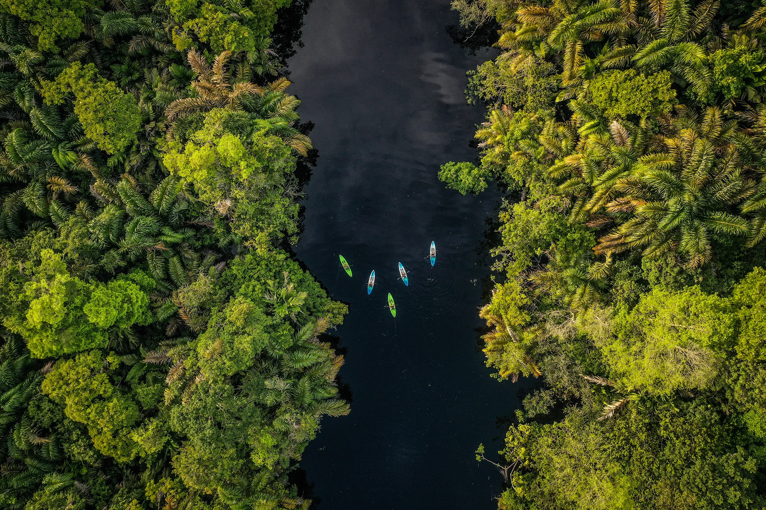 Tortuguero Kayaking Experience, Rainforest Adventure