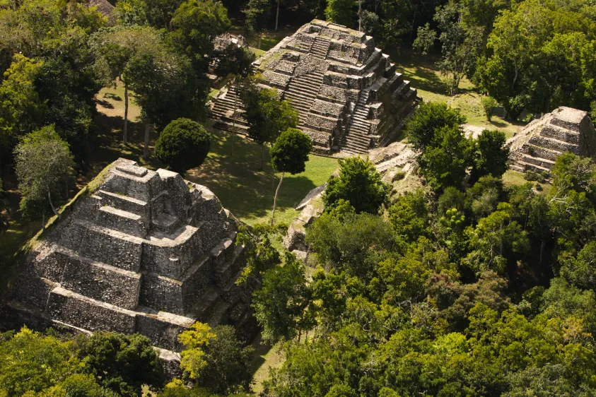 Tikal View